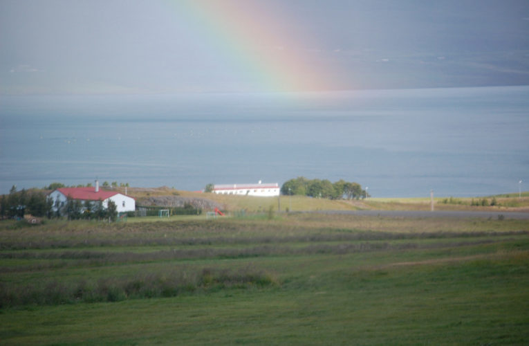 Chattanooga: Is he really my true Valentine? Love and PTSD.