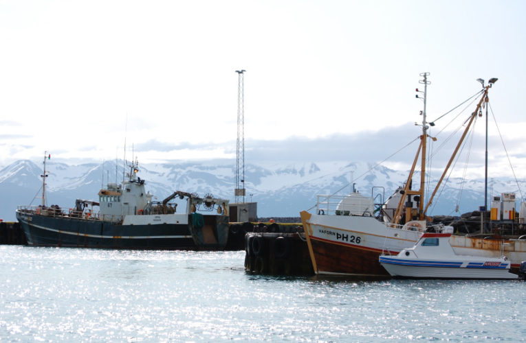 Chattanooga: Woman/wife/mother: PTSD + suicidal thoughts