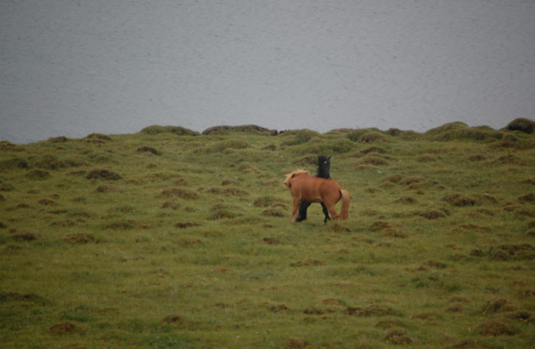 Chattanooga: The Battle for Harmony When Living With PTSD