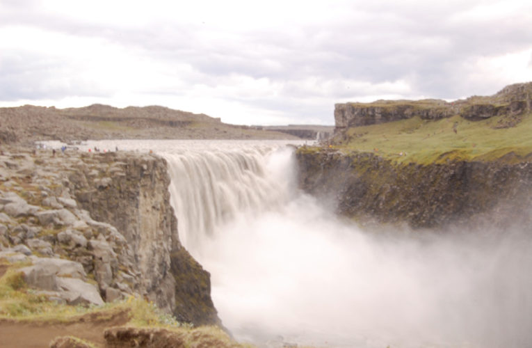 Chattanooga: Help! I’m a lost little amoeba in this big PTSD ecosystem